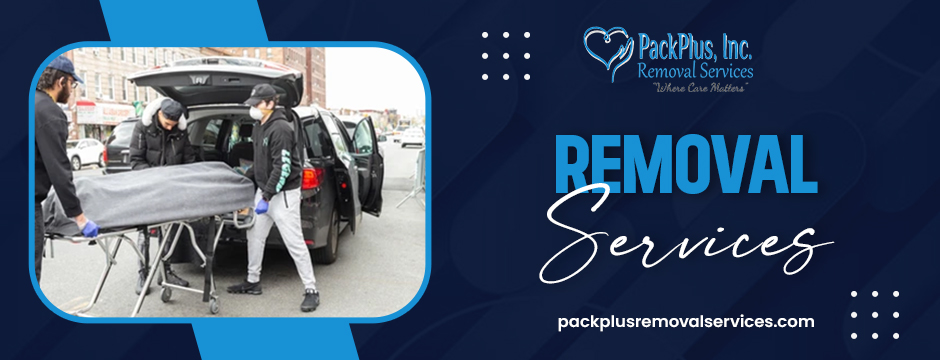 removal services by packplus removal